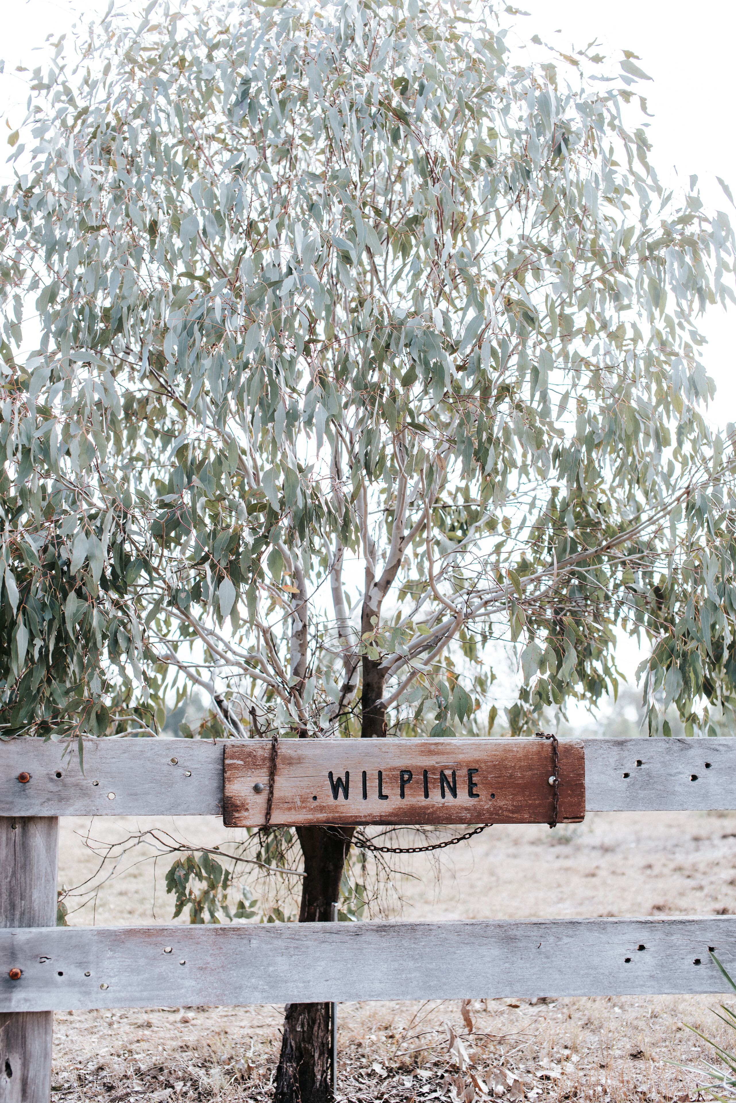 Wilpine Homestead and Cottage