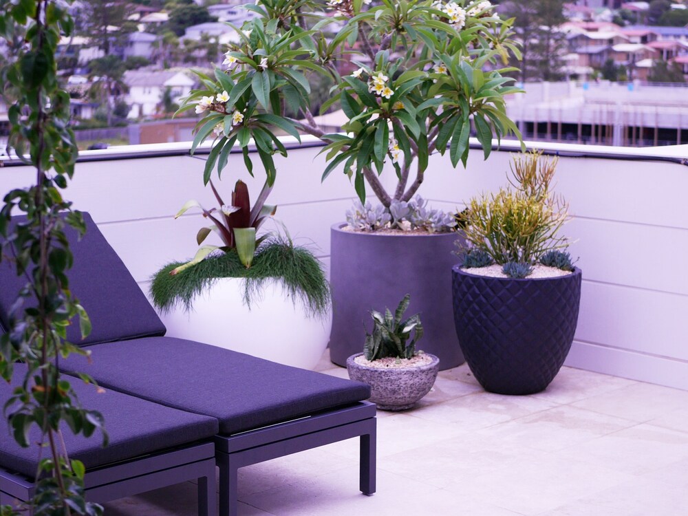 Luxury Apartment - Ocean Views & Large Roof Top Garden with Private Spa