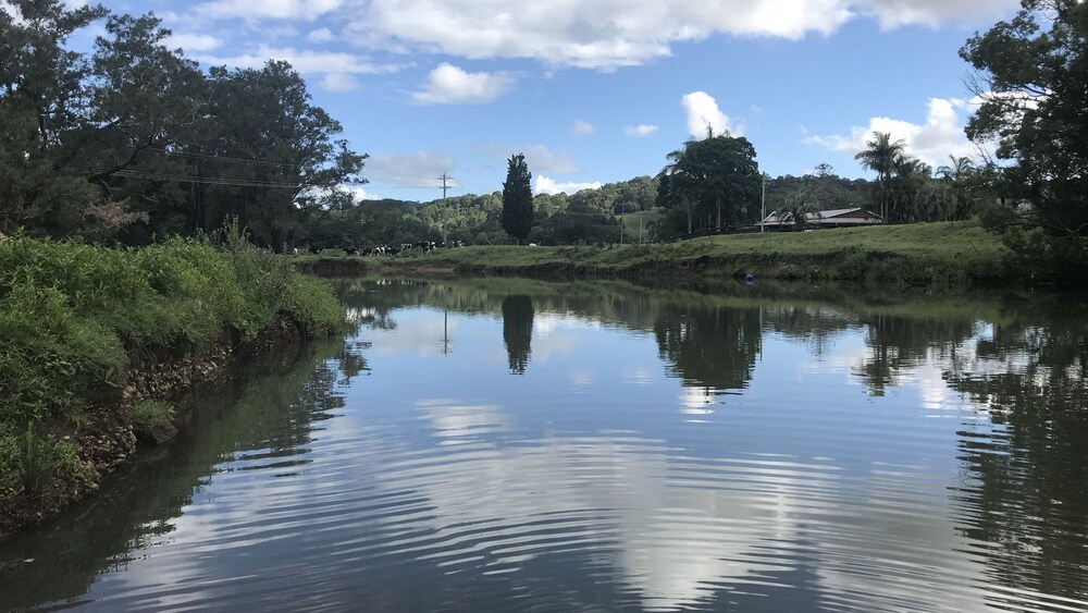 Mullumbimby Rural Escape Harry's Place Deals & Reviews (Main Arm