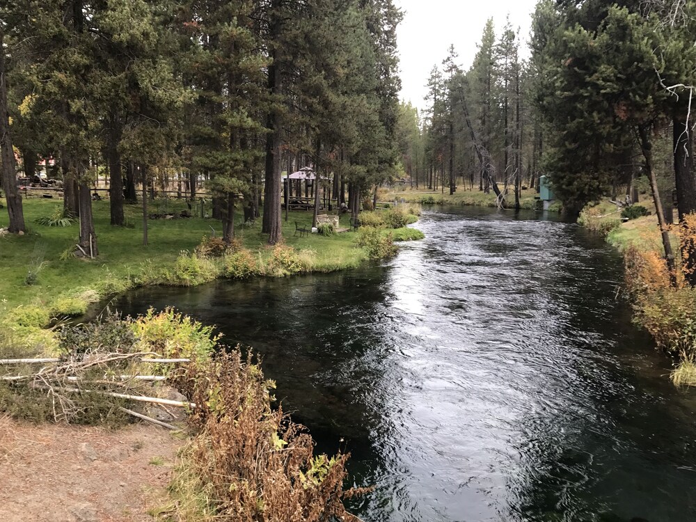 300' feet of River Frontage on the Fall River  -  Relax & Reconnect with Nature!