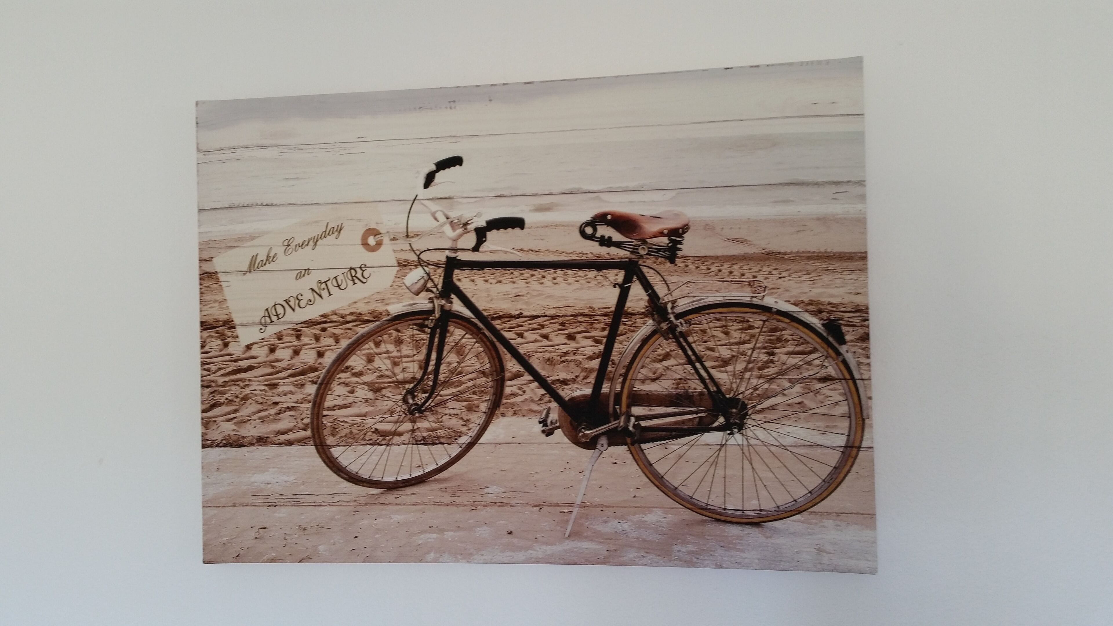 Family Time Pet Friendly, Ledge Point