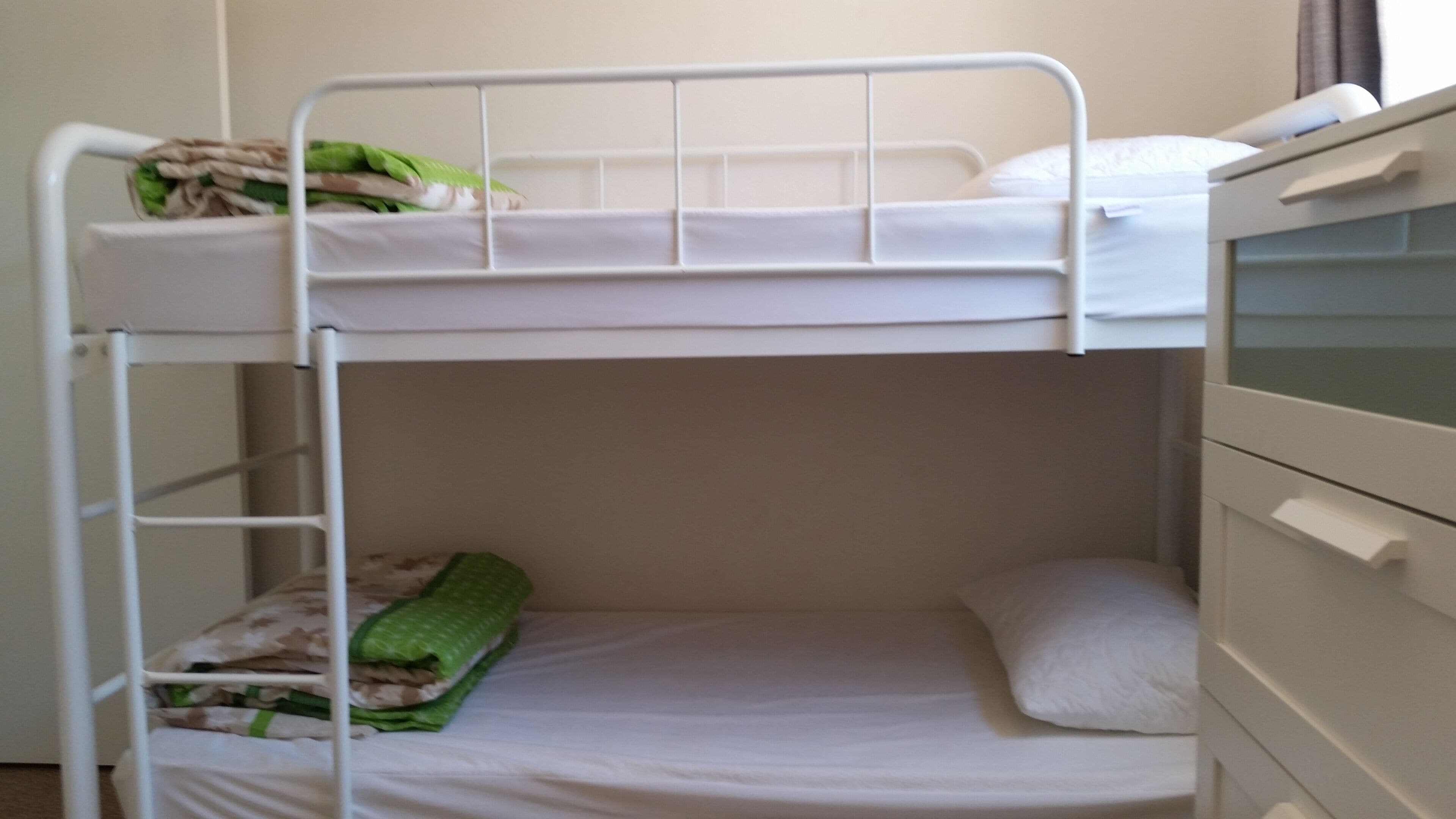 Family Time Pet Friendly, Ledge Point