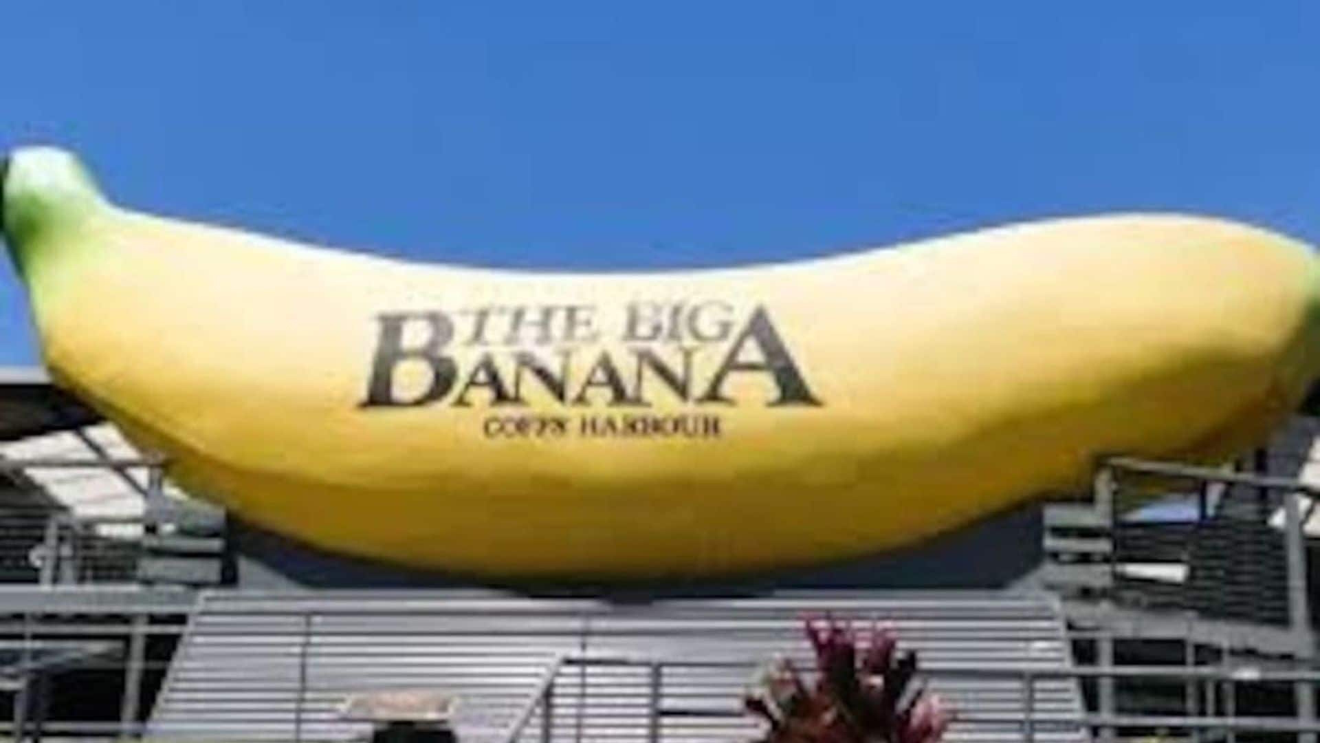 BEACH HOUSE - Fantastic Beach Getaway