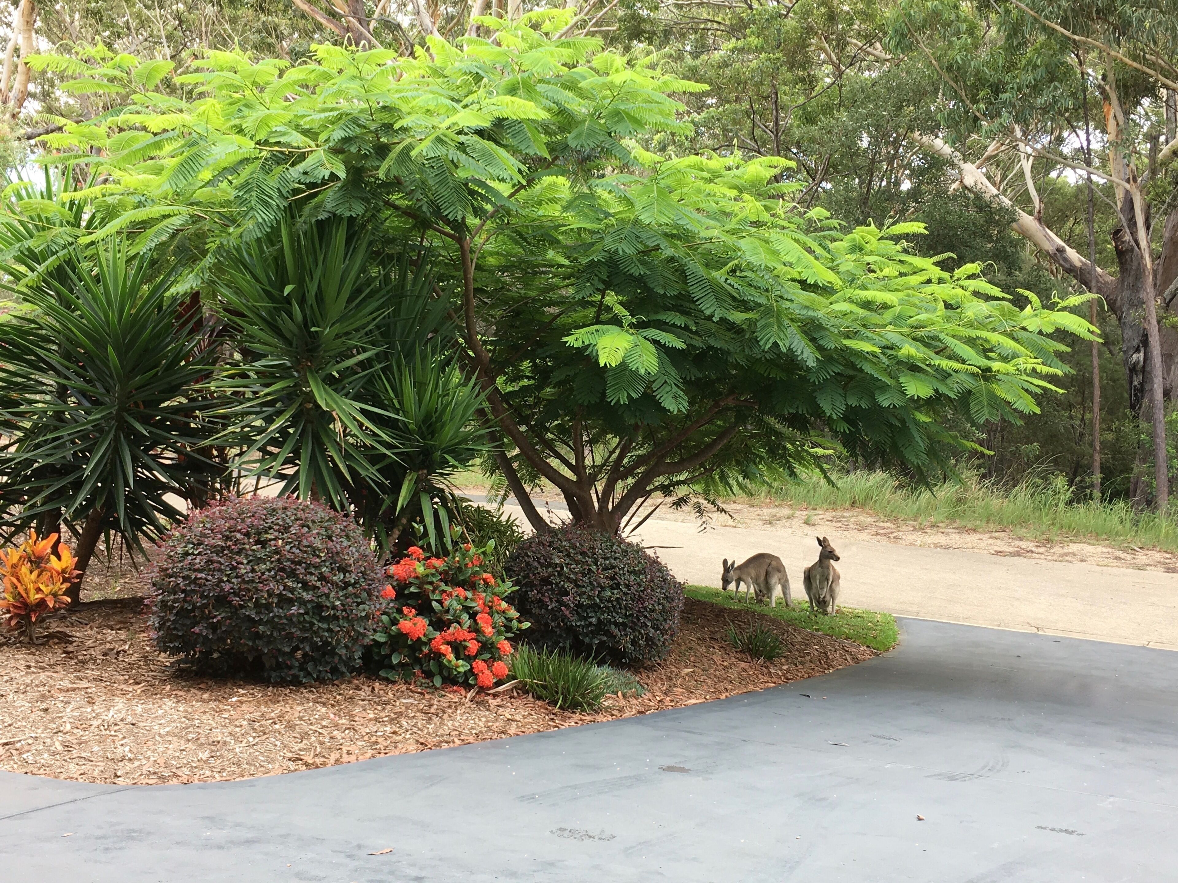 BEACH HOUSE - Fantastic Beach Getaway