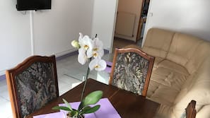 Flat-screen TV