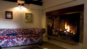 TV, fireplace, DVD player, books