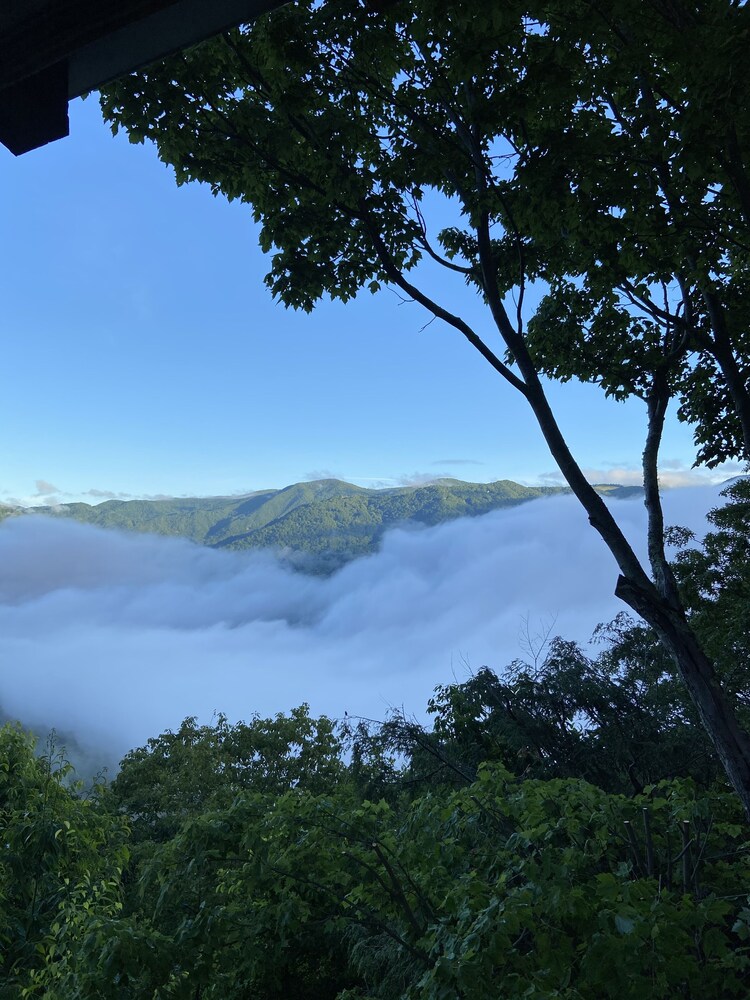 MASTERS VIEW- 3BR,2 BA PICTURESQUE VIEW OF THE SMOKEY MOUNTAINS FROM THE HOT TUB