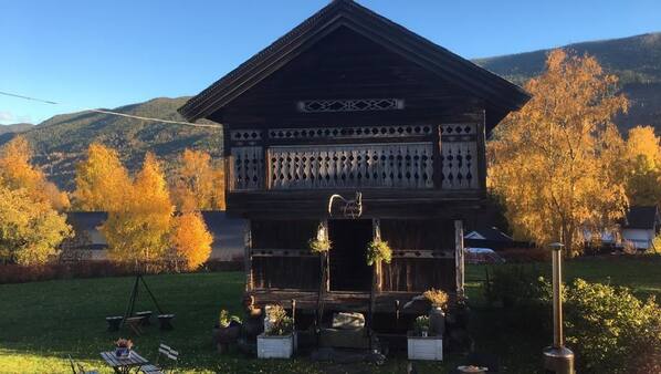 Ejendommens grund