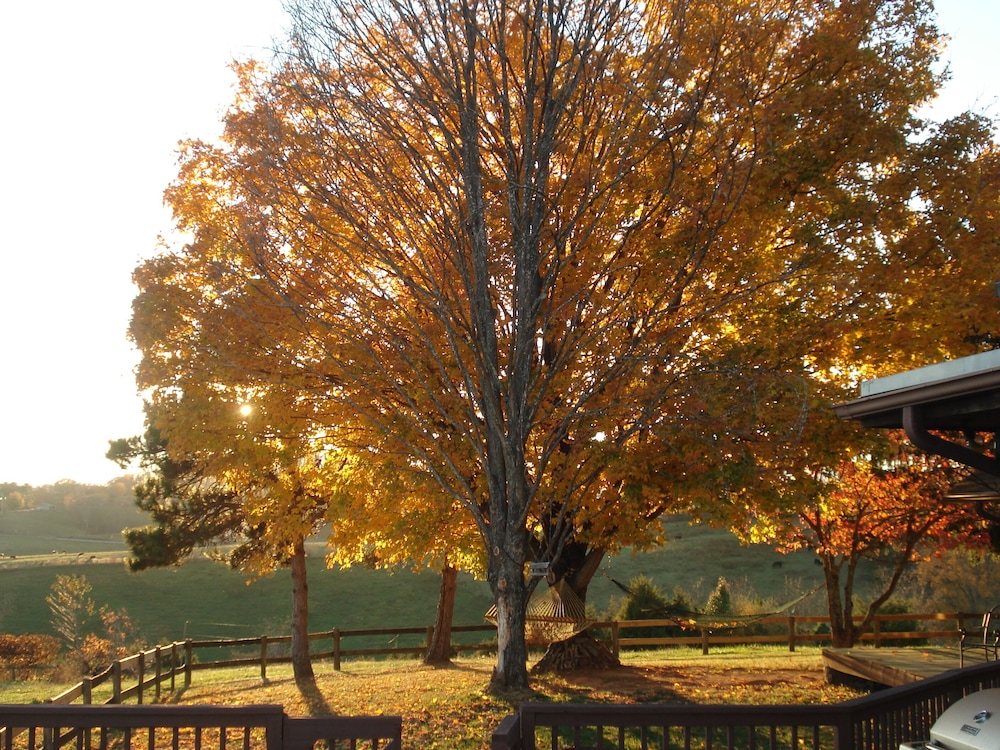 Lazy Acres Log Cabins on a beautiful farm 5m from downtown Lexington. VMI W&L 5m