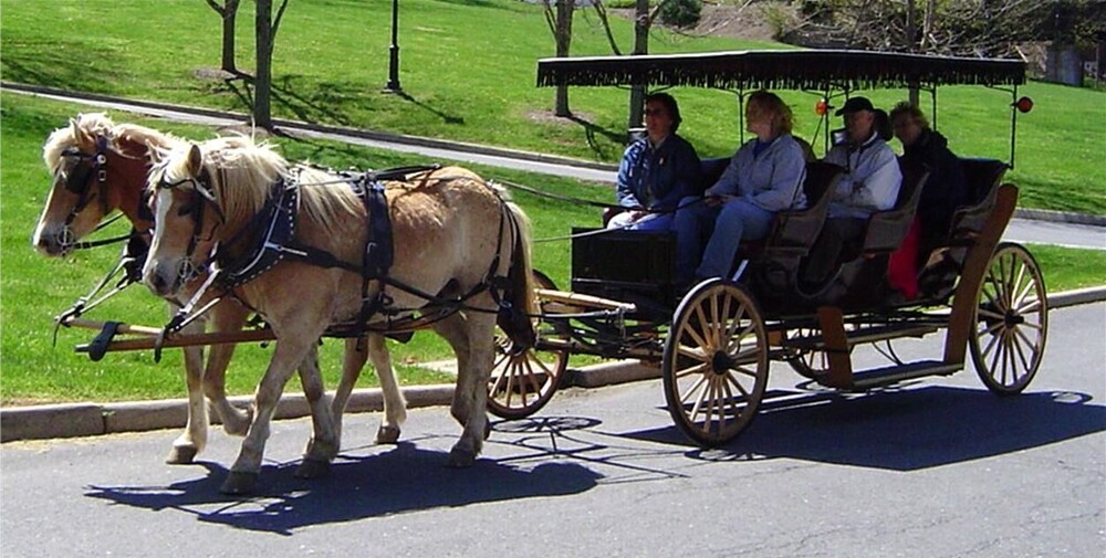 Lazy Acres Log Cabins on a beautiful farm 5m from downtown Lexington. VMI W&L 5m