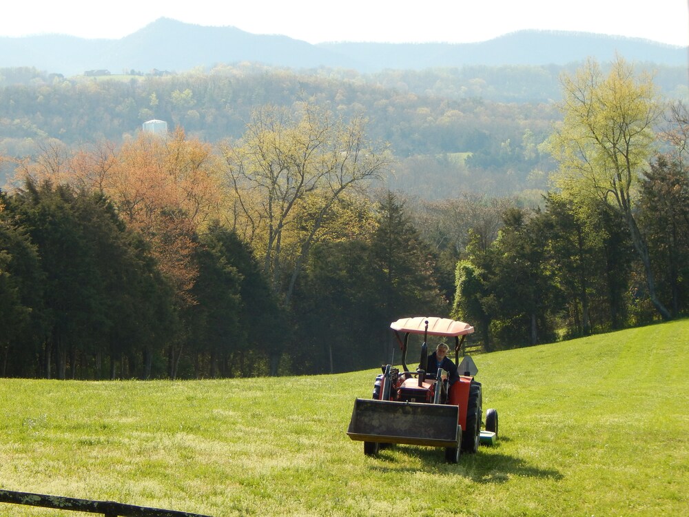 Lazy Acres Log Cabins on a beautiful farm 5m from downtown Lexington. VMI W&L 5m