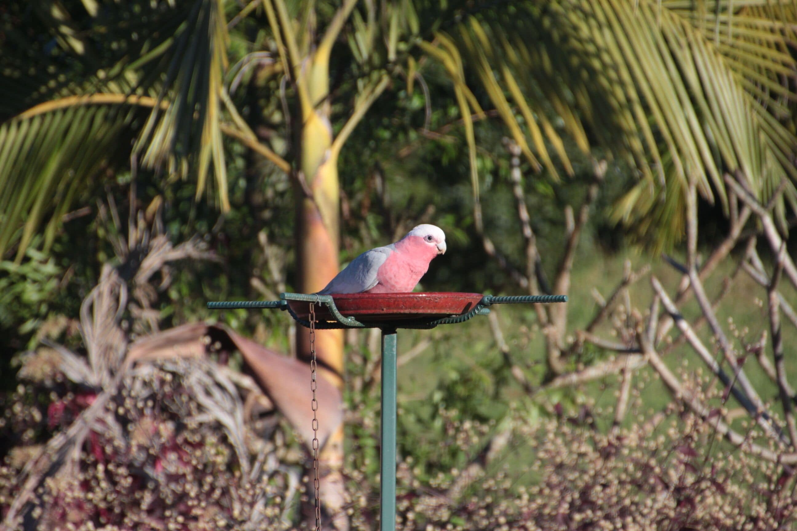 Afterglow Offers Romance, Luxury and Indulgence Amid the Quiet Beauty of Nature