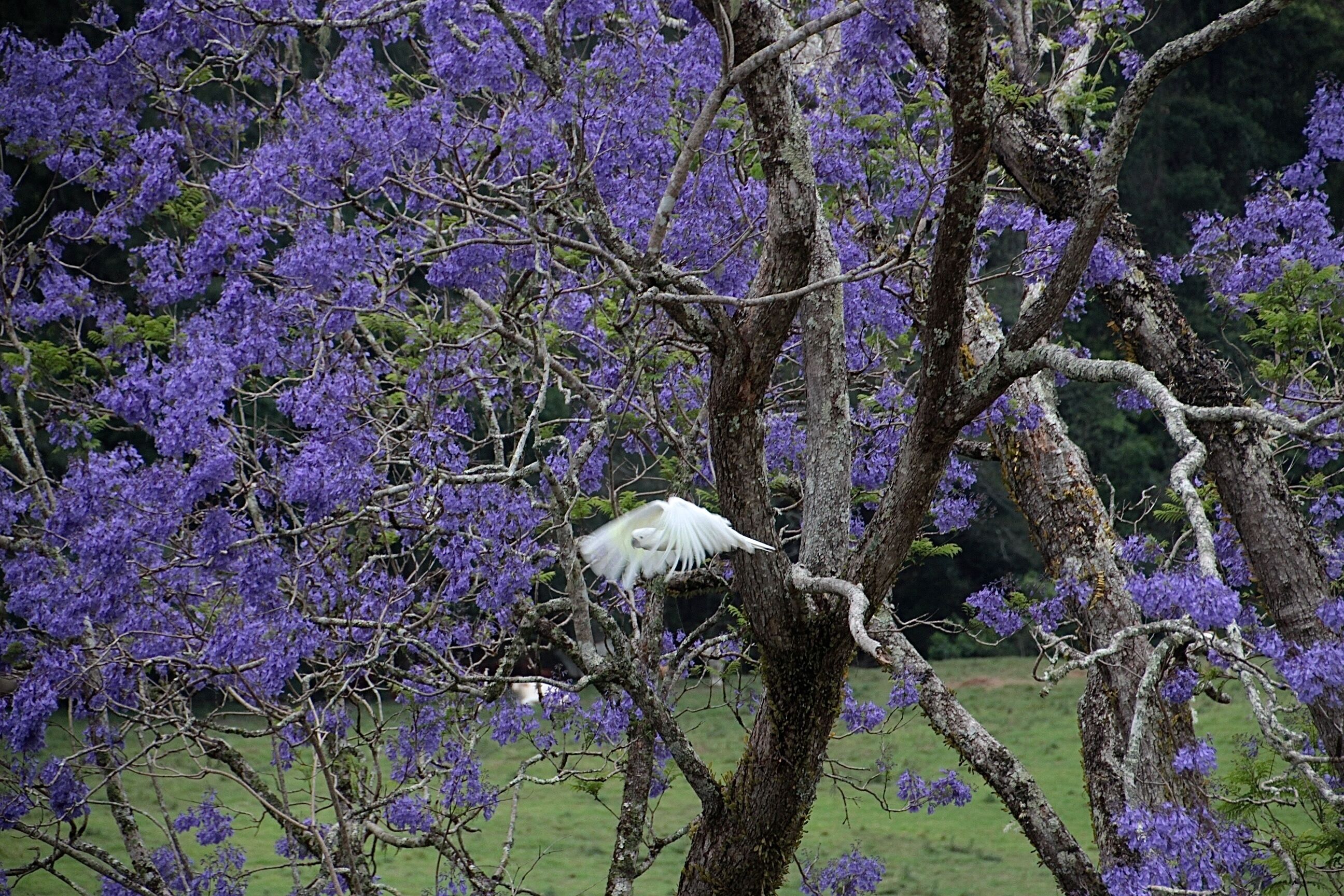 Afterglow Offers Romance, Luxury and Indulgence Amid the Quiet Beauty of Nature