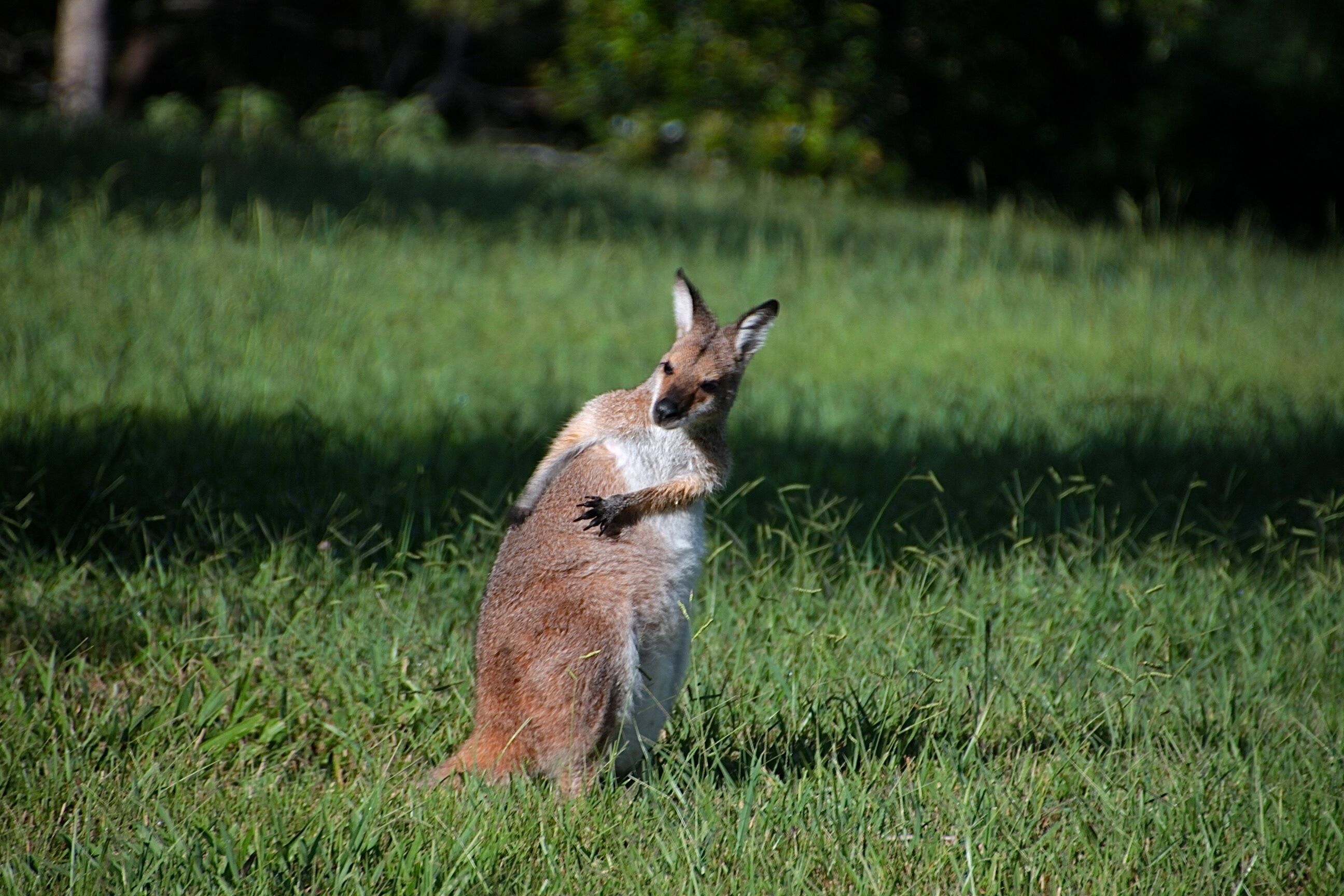 Afterglow Offers Romance, Luxury and Indulgence Amid the Quiet Beauty of Nature