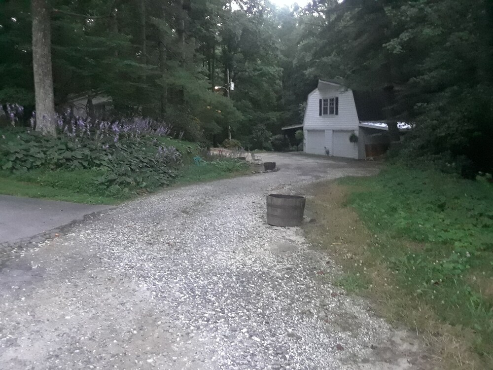 A woodsy suburban gem near Asheville NC   