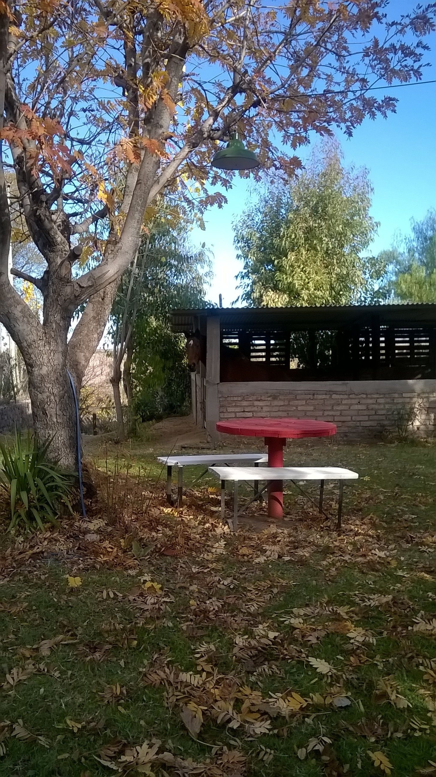 Cabañas Patricia