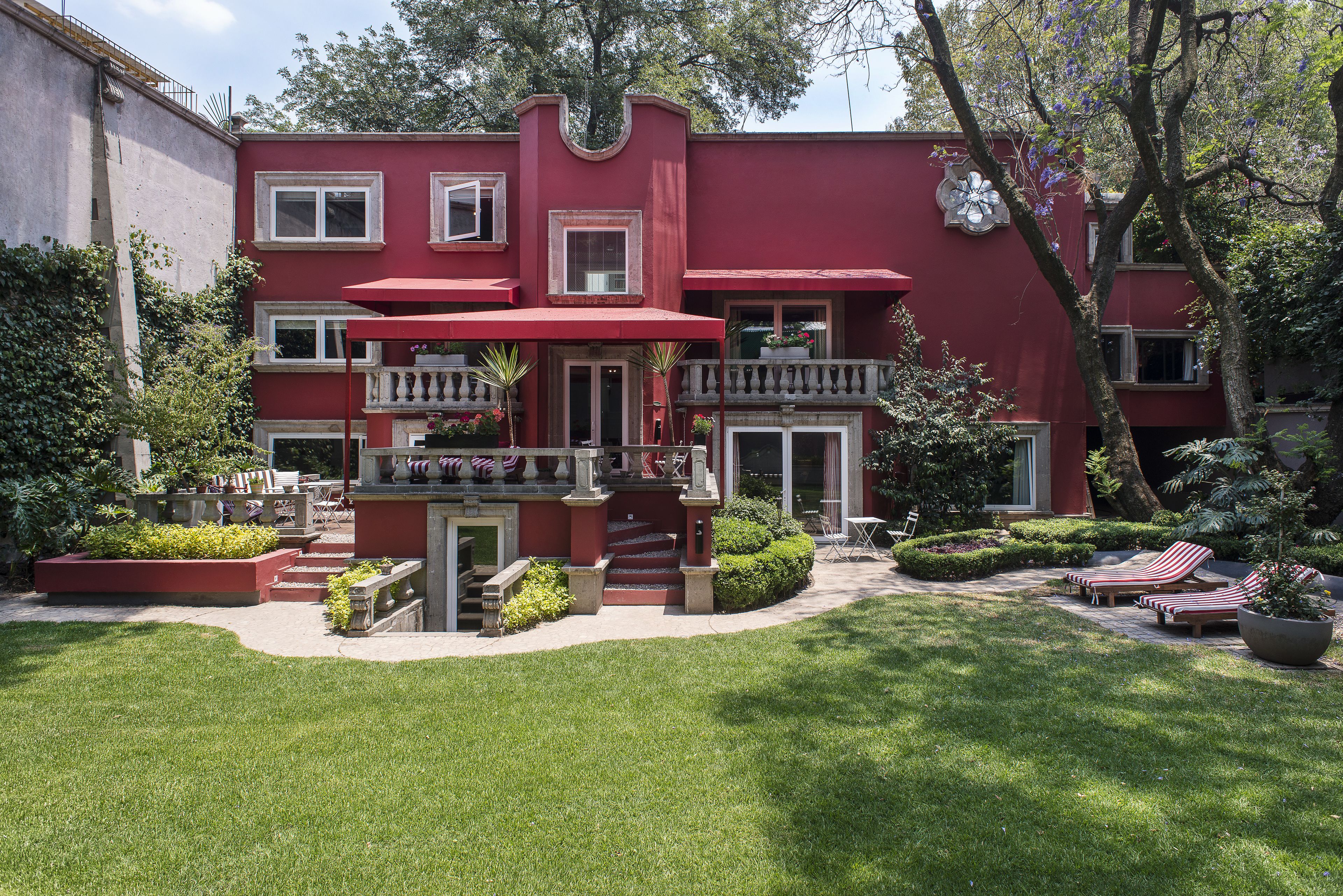 Pug Seal B&B Coyoacan