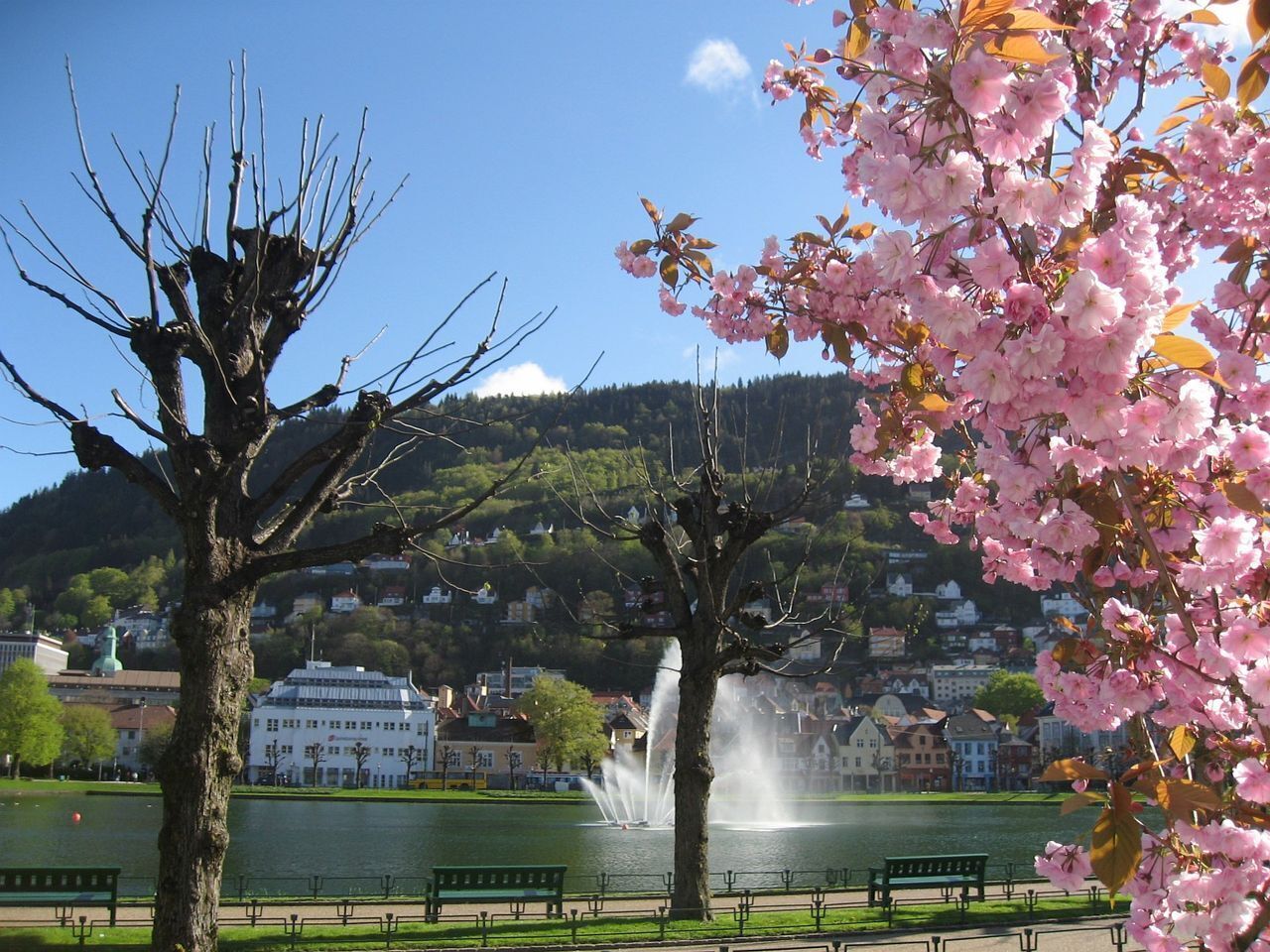 In the middle of the village, in the most cozy neighborhood of the city in Bergen in Bergen, Norway