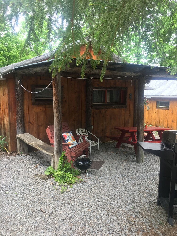 Cosy cabin with lake views from patio sleeps 6!