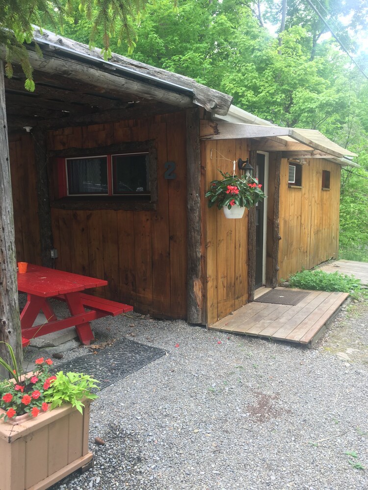 Cosy cabin with lake views from patio sleeps 6!