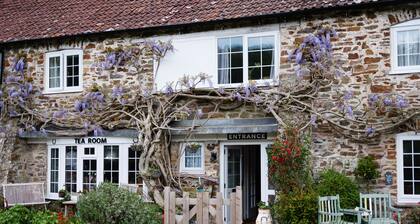 The Bark House
