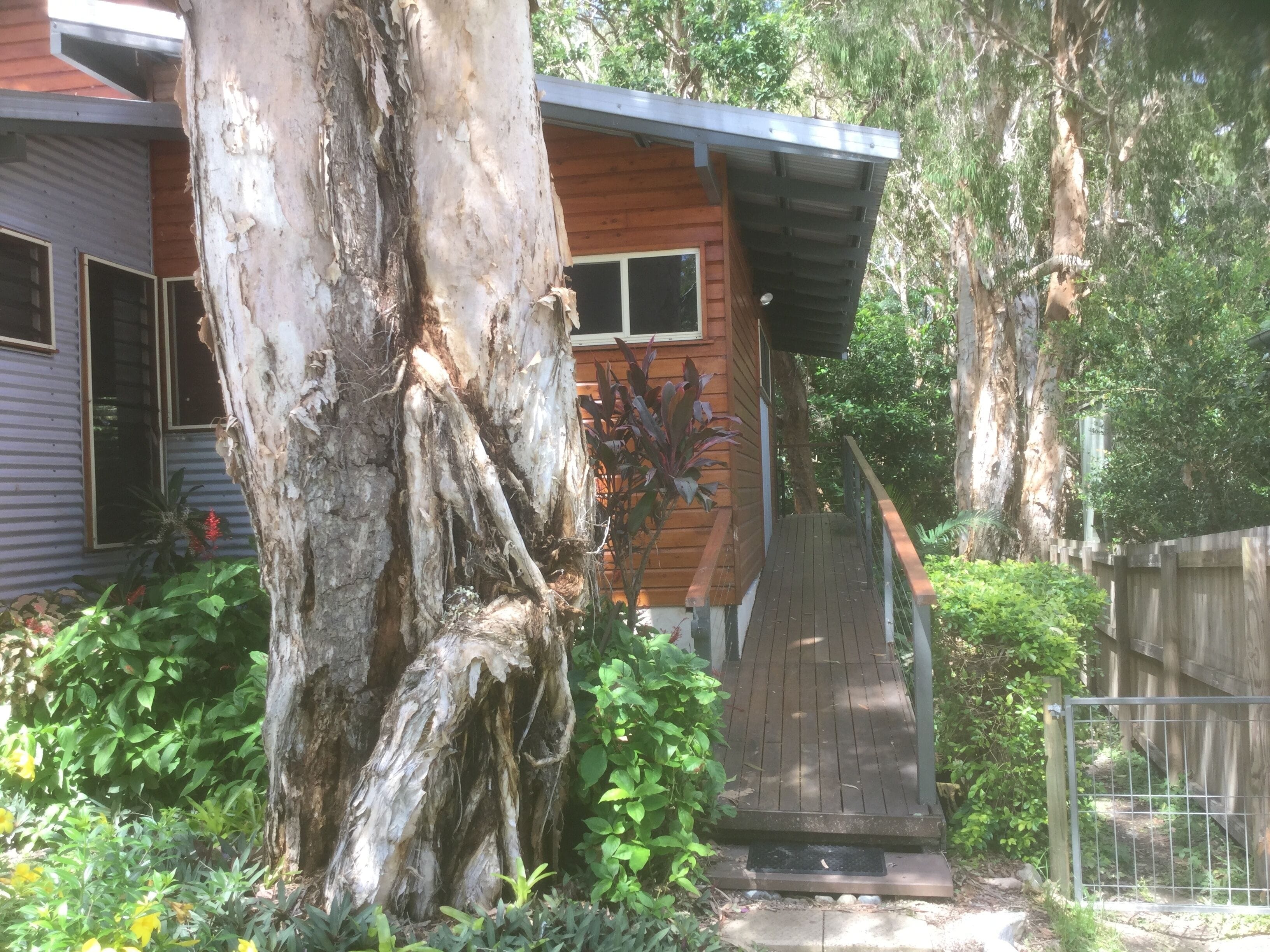 Tranquil Bush Setting