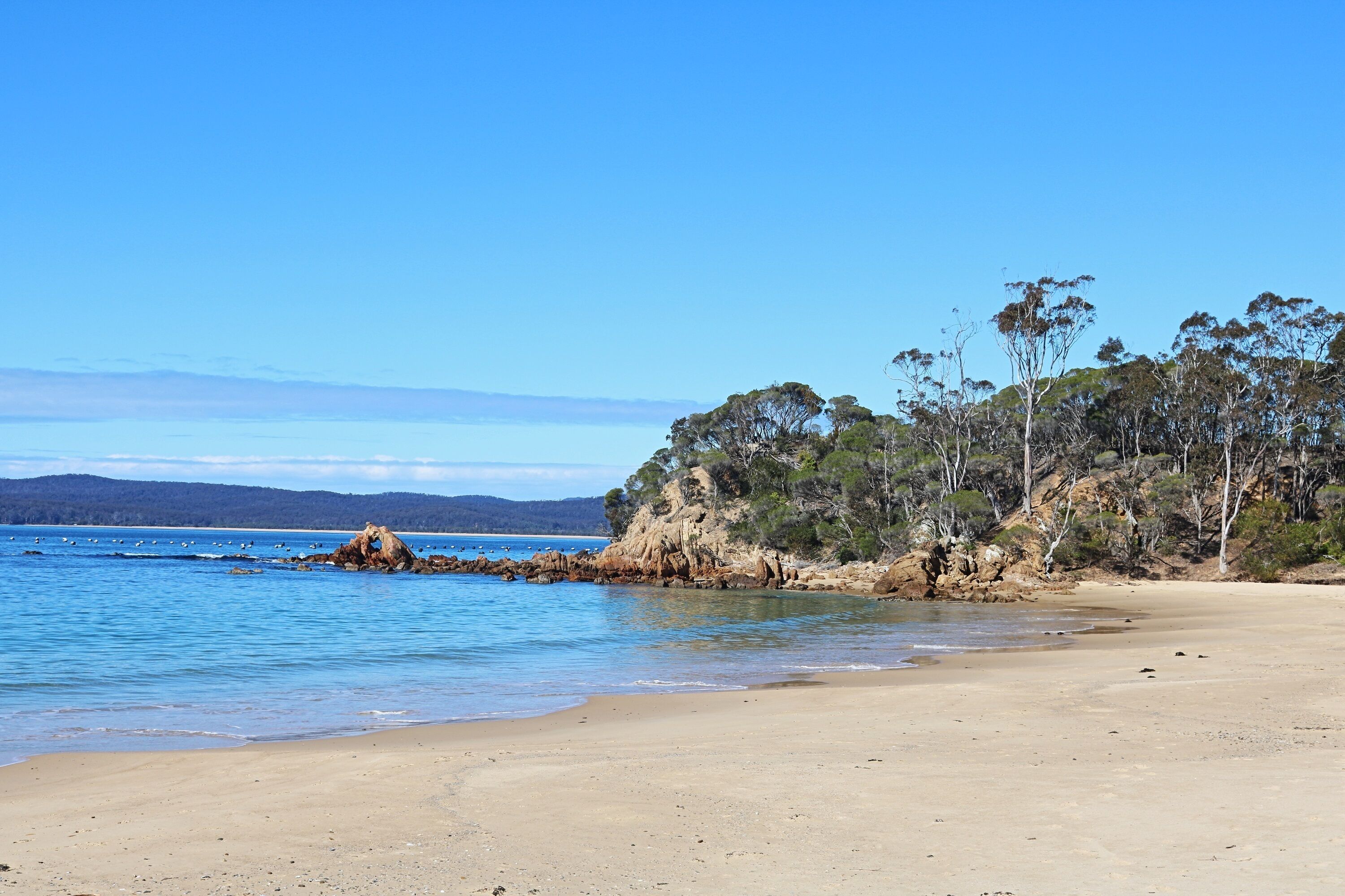 Saltwater 3 Bedroom Apartment, across from the beach 1+ nights in Eden, Australia