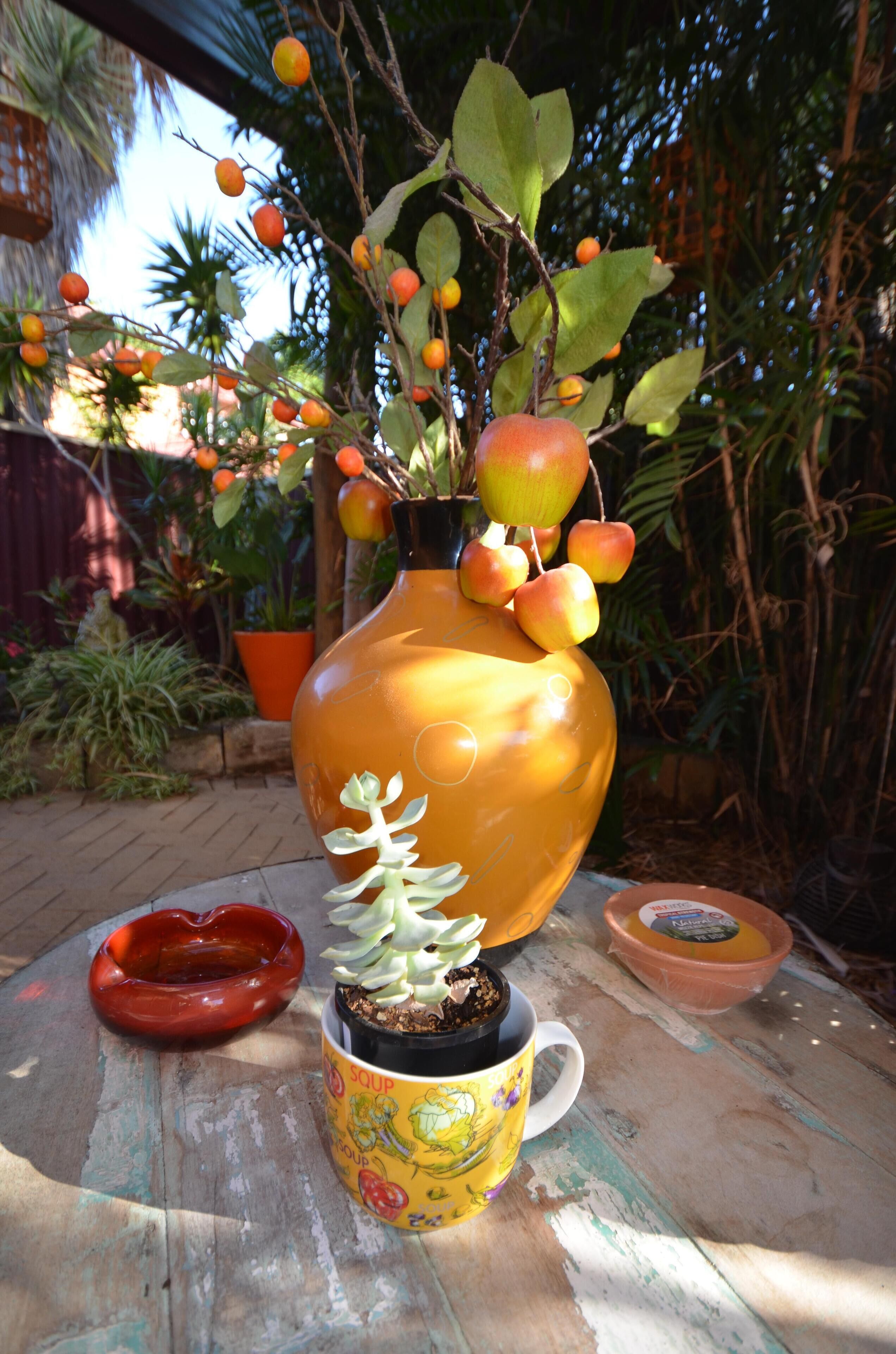 Peace and Tranquility at the Hidden Courtyard