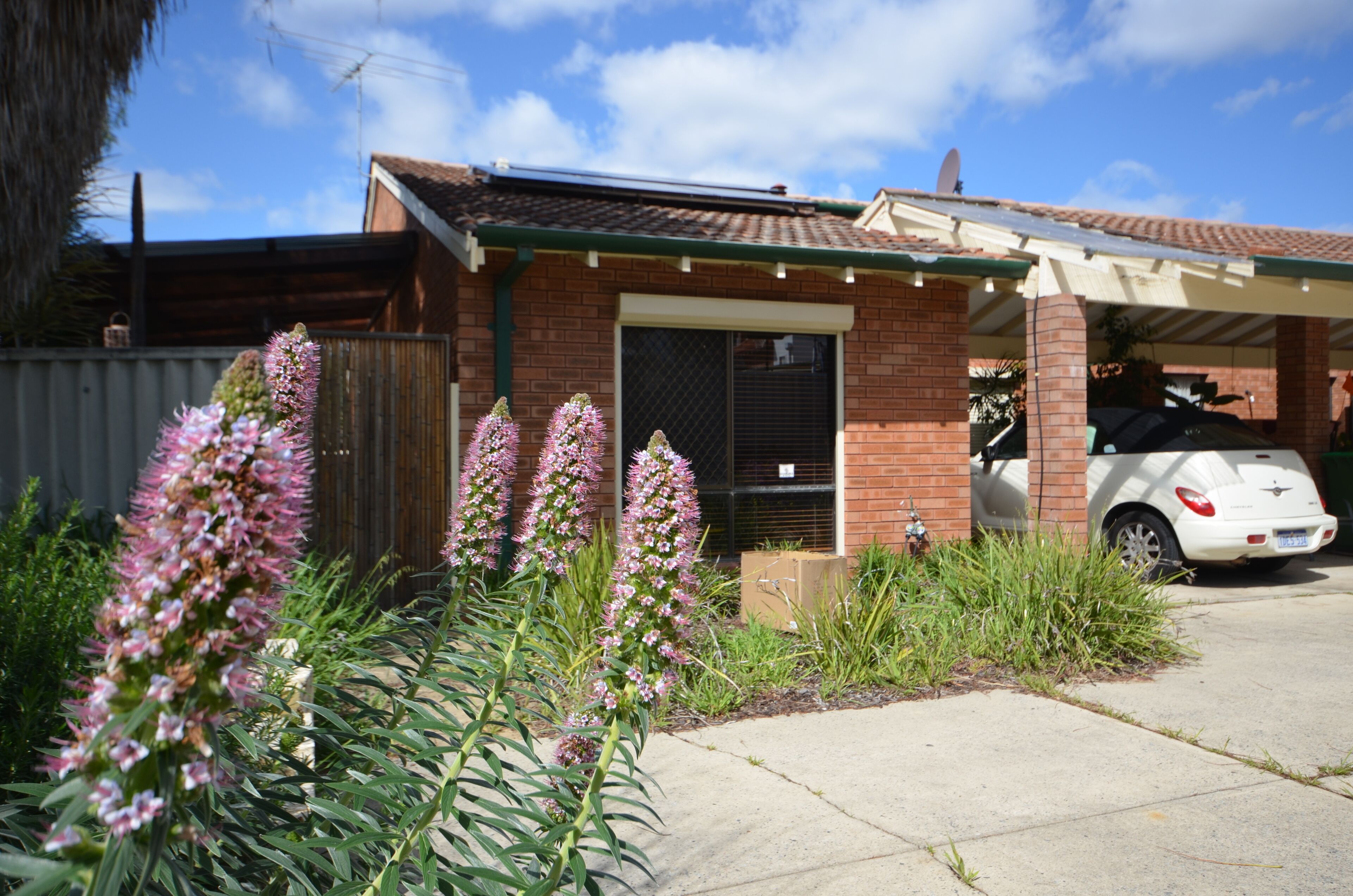 Peace and Tranquility at the Hidden Courtyard