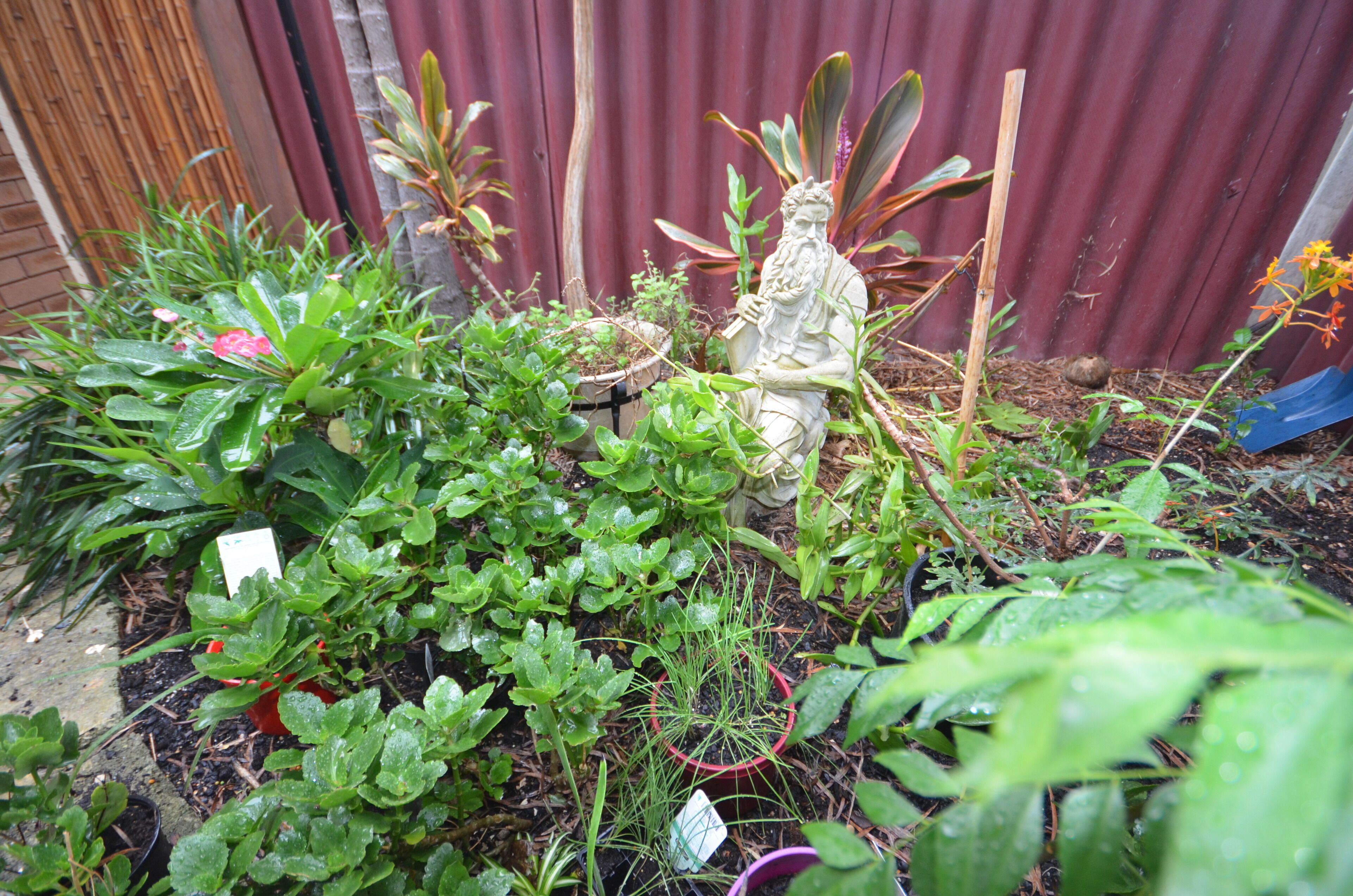 Peace and Tranquility at the Hidden Courtyard