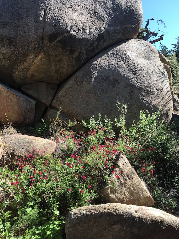 LOVELY HOUSE IN THE BOULDERS near downtown! 🏡 