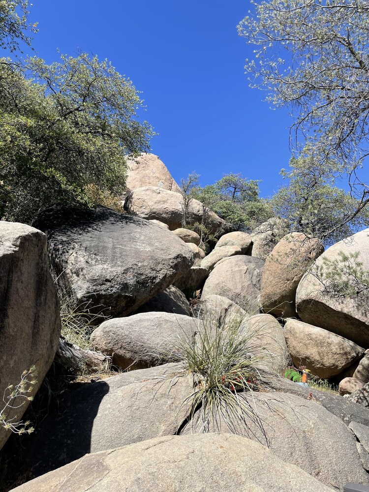 LOVELY HOUSE IN THE BOULDERS near downtown! 🏡 