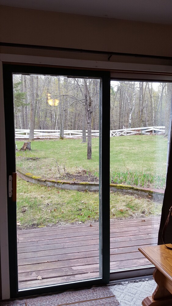 Cozy Cabin on Blackwater Lake near Longville, MN, Longville Room