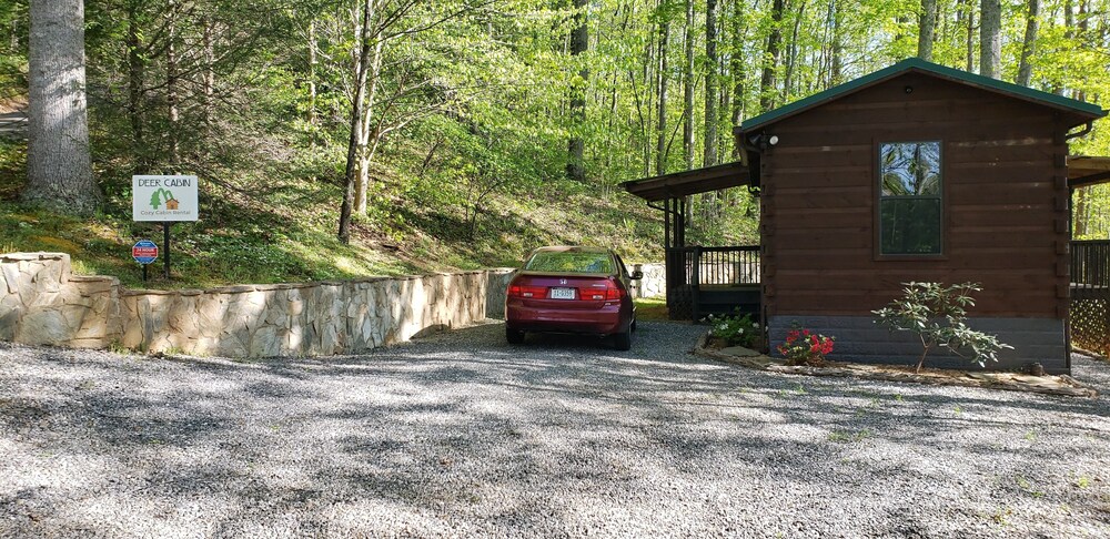 Clean, private cabin just 3 miles to Waynesville on a paved road. 1 of 2 cabins