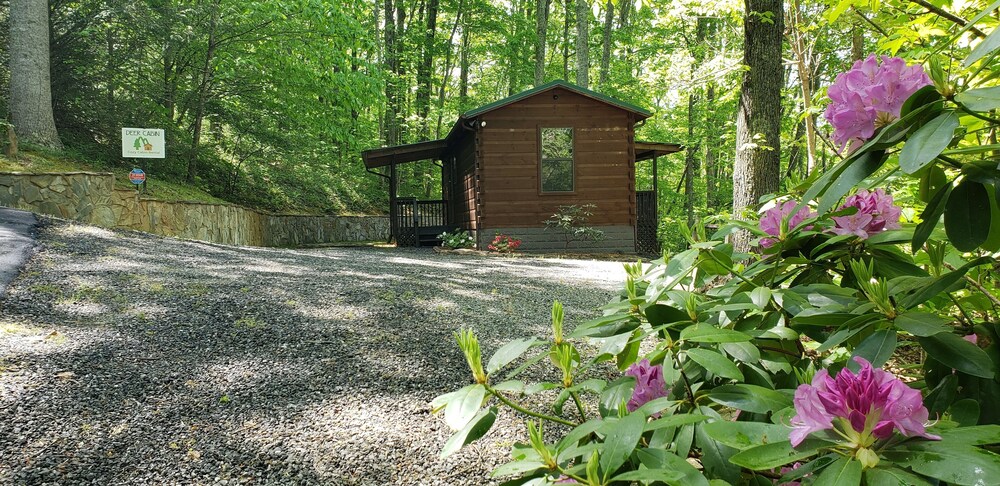 Clean, private cabin just 3 miles to Waynesville on a paved road. 1 of 2 cabins