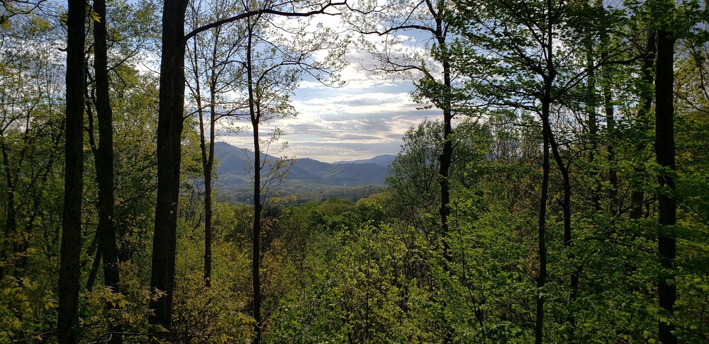 Clean, private cabin just 3 miles to Waynesville on a paved road. 1 of 2 cabins