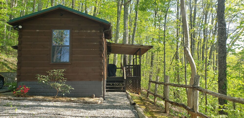 Clean, private cabin just 3 miles to Waynesville on a paved road. 1 of 2 cabins