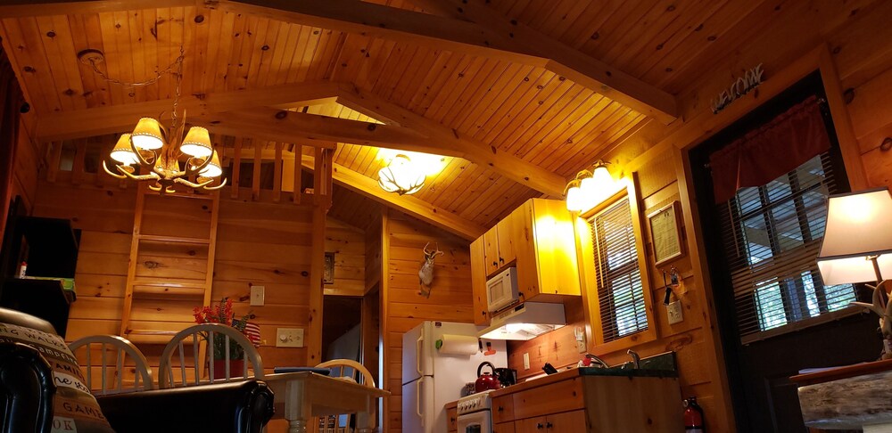 Clean, private cabin just 3 miles to Waynesville on a paved road. 1 of 2 cabins