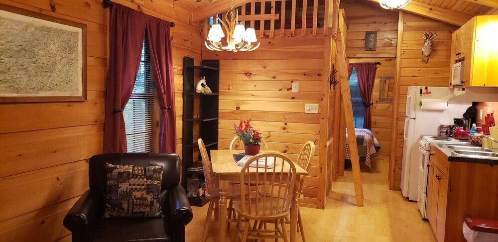 Clean, private cabin just 3 miles to Waynesville on a paved road. 1 of 2 cabins