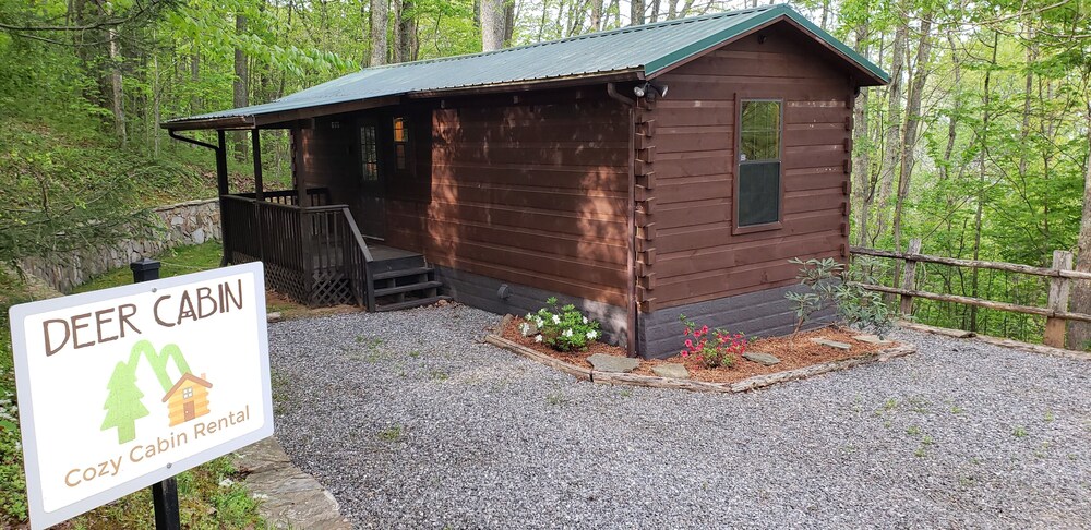 Clean, private cabin just 3 miles to Waynesville on a paved road. 1 of 2 cabins