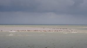 In Strandnähe