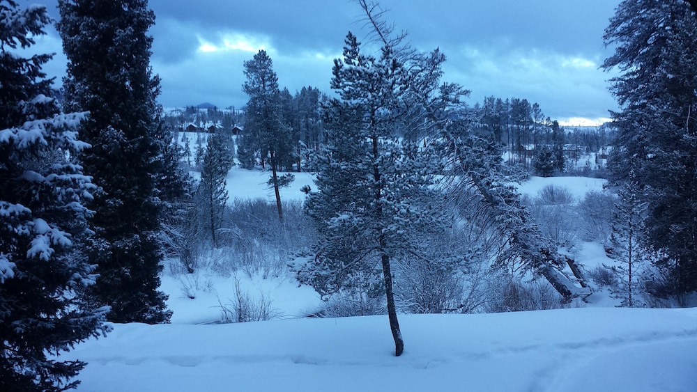 Winter Park 2 bdrm, Beautifully Updated, Walk2town, Summer Getaway!