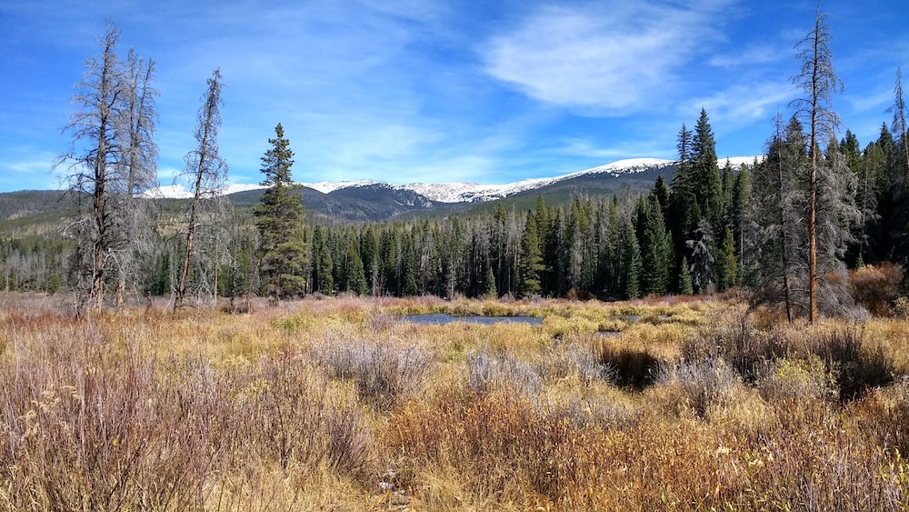 Winter Park 2 bdrm, Beautifully Updated, Walk2town, Summer Getaway!