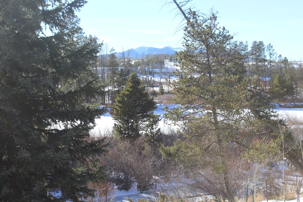 Winter Park 2 bdrm, Beautifully Updated, Walk2town, Summer Getaway!