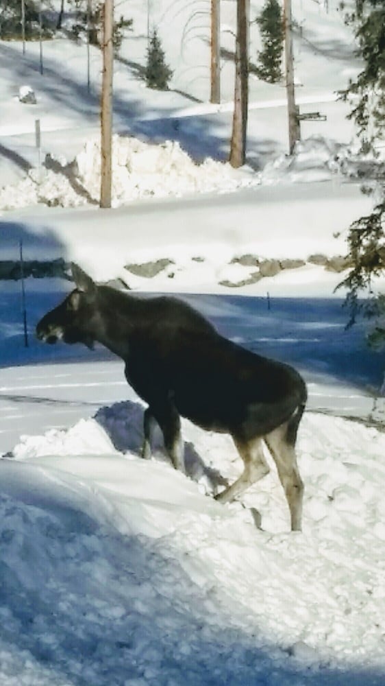 Winter Park 2 bdrm, Beautifully Updated, Walk2town, Summer Getaway!