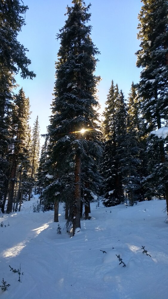 Winter Park 2 bdrm, Beautifully Updated, Walk2town, Summer Getaway!