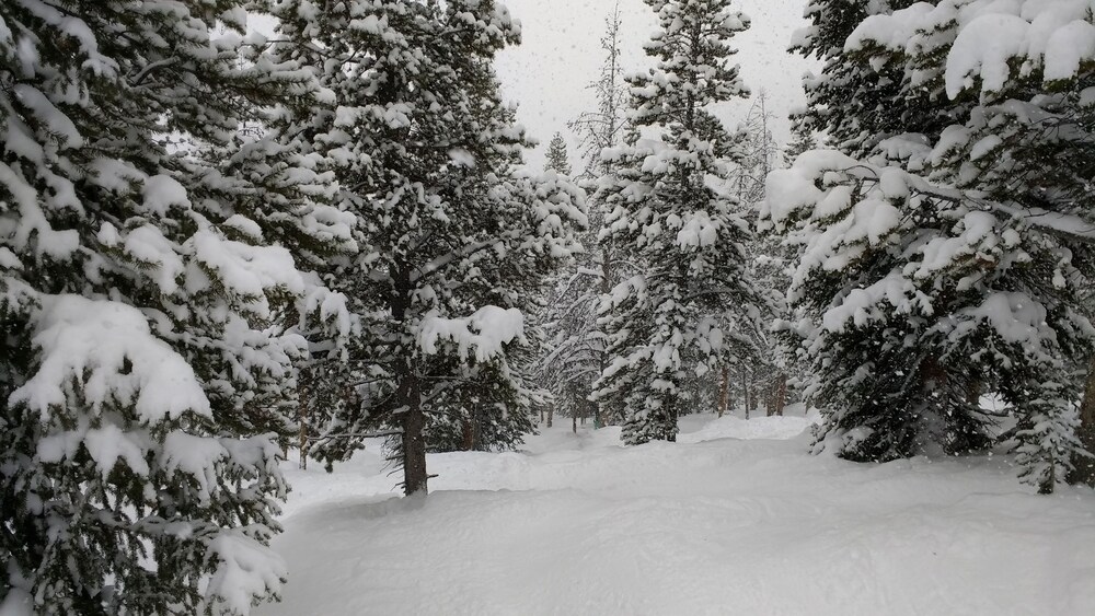 Winter Park 2 bdrm, Beautifully Updated, Walk2town, Summer Getaway!