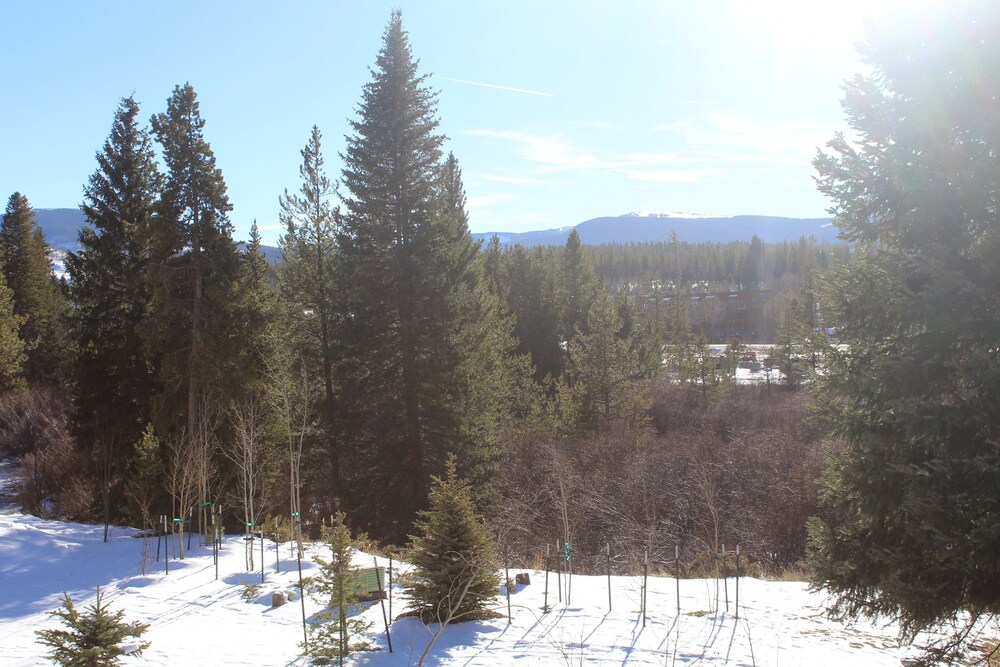 Winter Park 2 bdrm, Beautifully Updated, Walk2town, Summer Getaway!