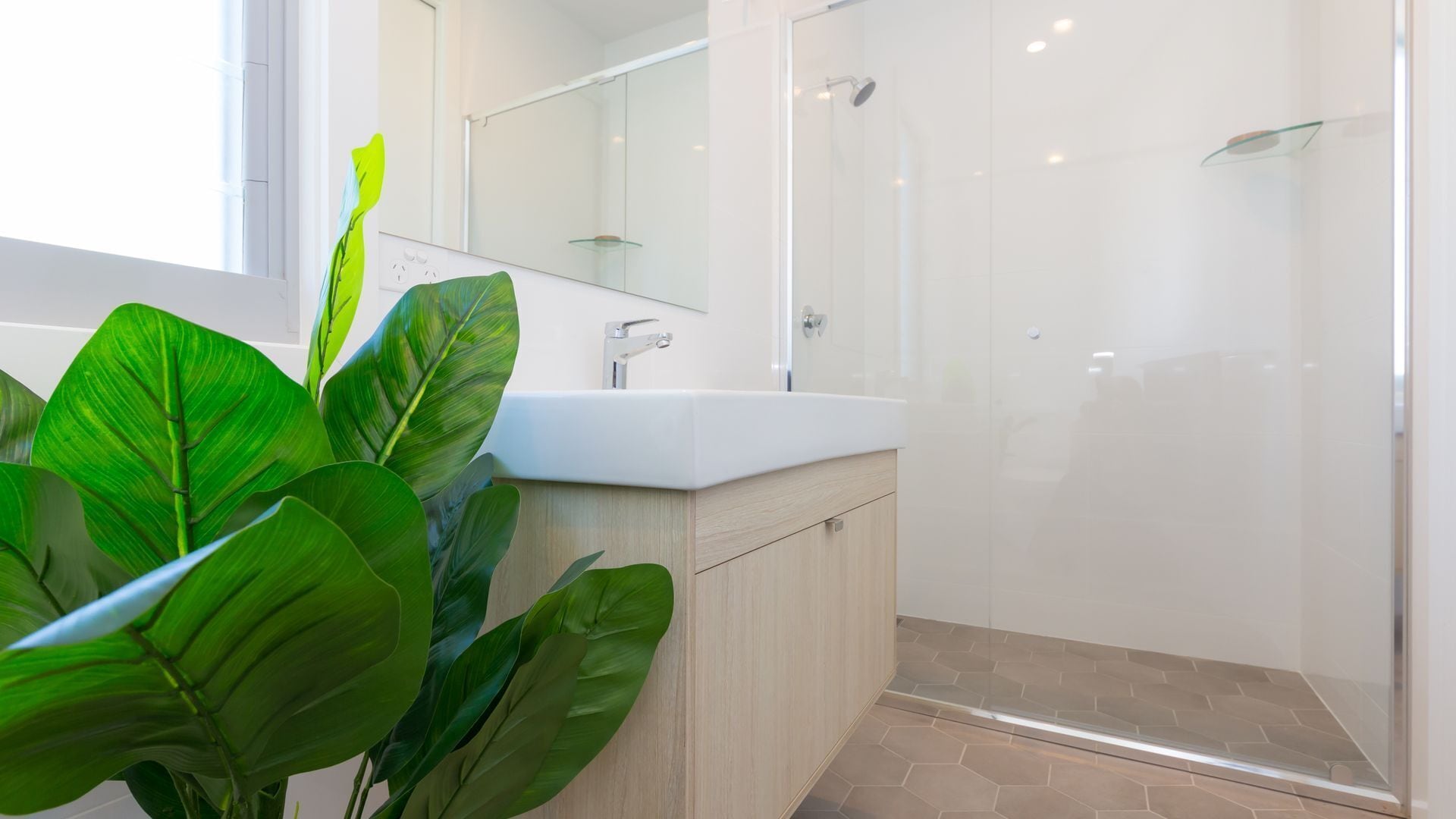 Absolute Beachfront. Watch Whales From the Balcony