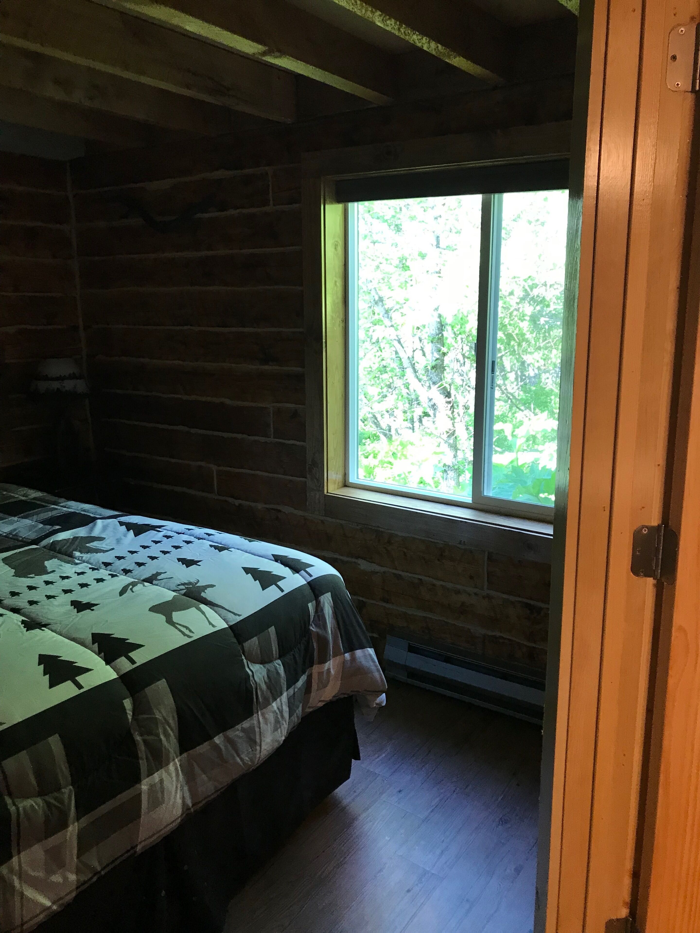 Cozy cabin in Homer, United States